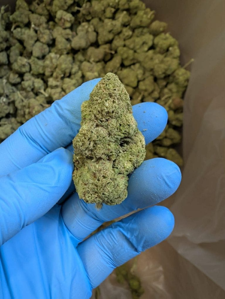 Acheter du CBD en Ligne